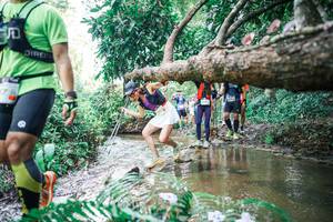 BIB: 
                            <button type="button" onclick="openModal(25476242)" class="btn btn-primary btn-sm float-right btn-popup" data-toggle="modal" data-target=".modal-high-quality">
                        <i class="fas fa-shopping-cart"></i> Add to Cart
                    </button>
                                            <button type="button" onclick="isThisMe(25476242, true)" class="btn btn-success btn-sm float-right btn-popup btn-isme hidden" data-toggle="tooltip" data-placement="bottom" title="นี่คือรูปของคุณใช่ไหม คลิกที่นี่เพื่อเอาเข้าอัลบั้ม">
                        <i class="fas fa-plus"></i> Add to album
                    </button>
                    <button type="button" onclick="isThisMe(25476242, false)" class="btn btn-warning btn-sm float-right btn-popup btn-isnotme hidden">
                        <i class="fas fa-ban"></i> Remove from album
                    </button>